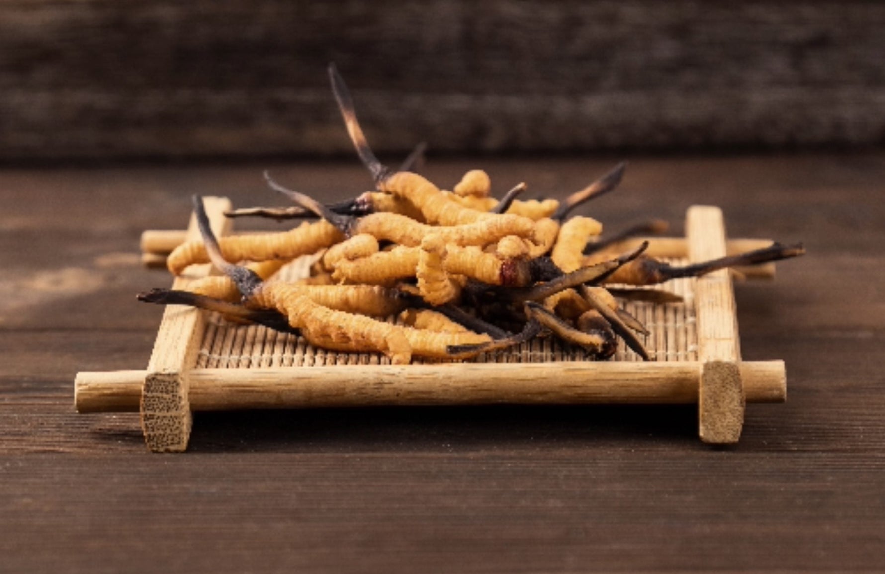 Cordyceps – historia, skład i formy produktu