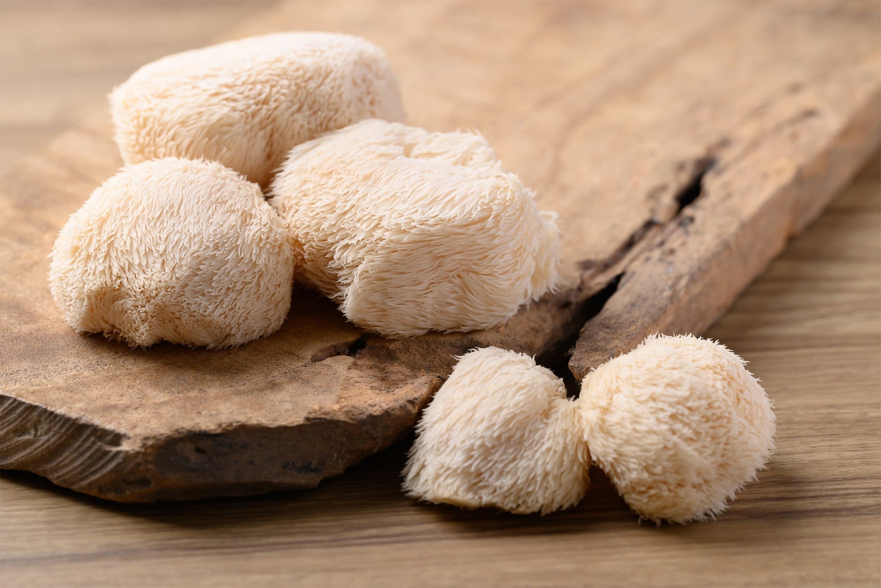 Soplówka jeżowata (Lion’s Mane) – opowieść o niezwykłym grzybie tradycji