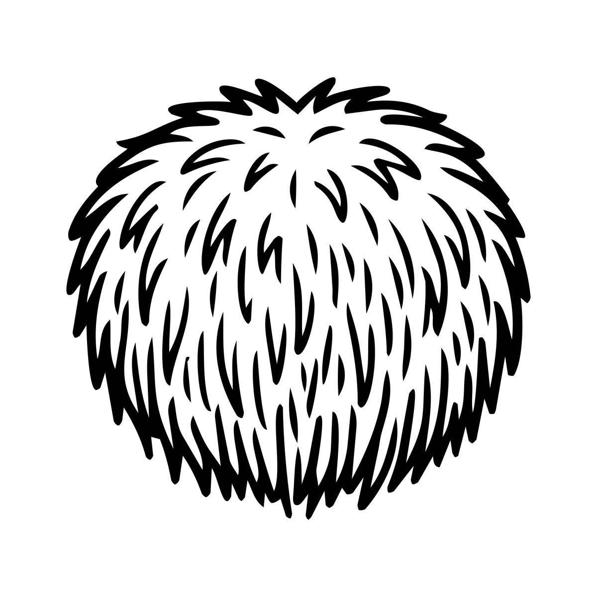 Soplówka jeżowata (Lion's Mane)
