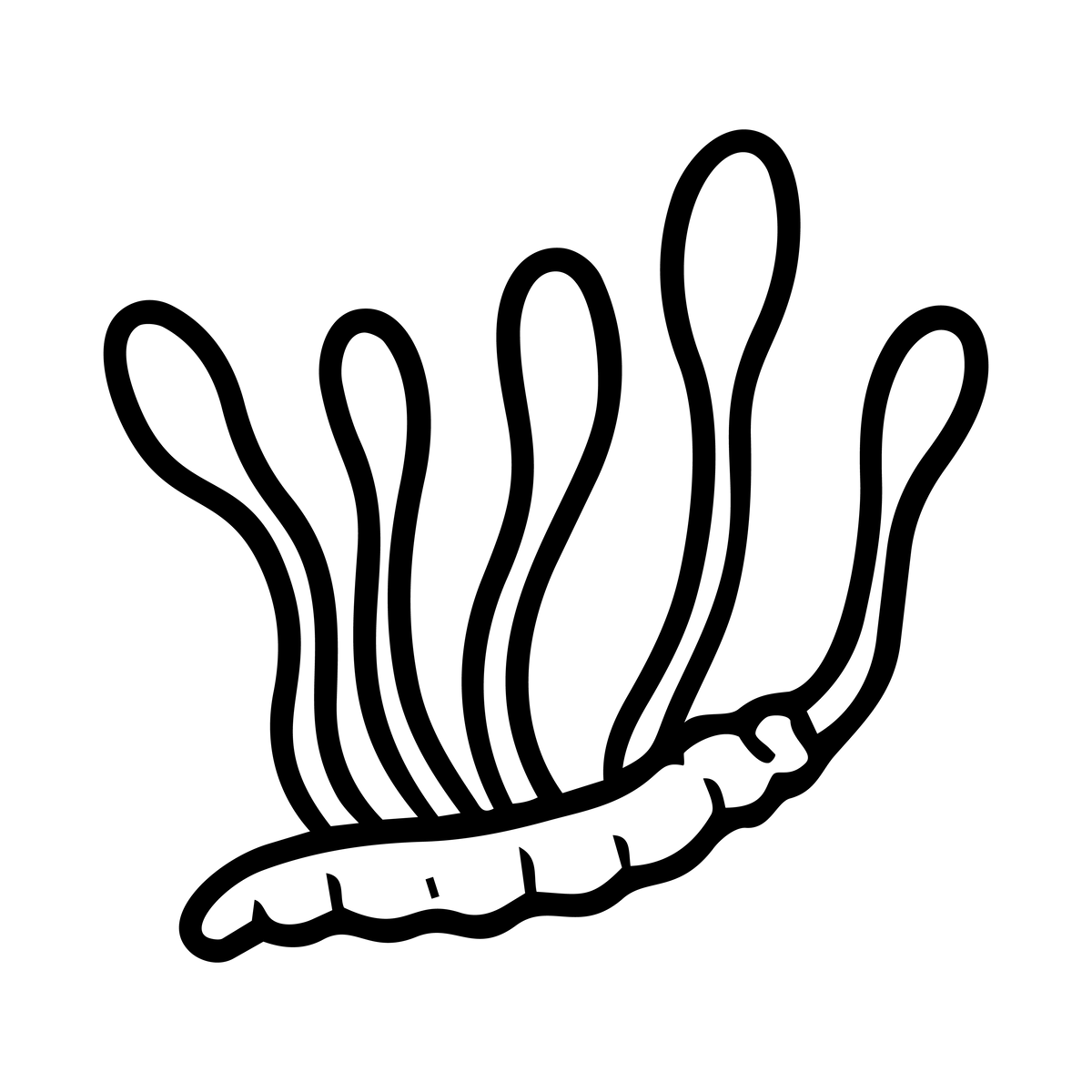 Cordyceps sinensis (Maczużnik chiński)