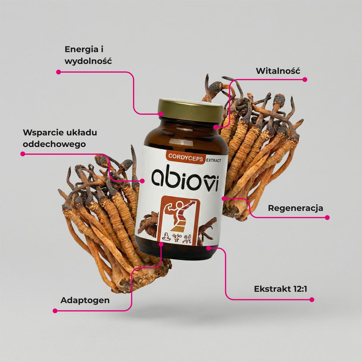Infografika ze słoiczkiem proszku z Cordycepsu marki Abiovi, suszonymi grzybami i opisem korzyści.