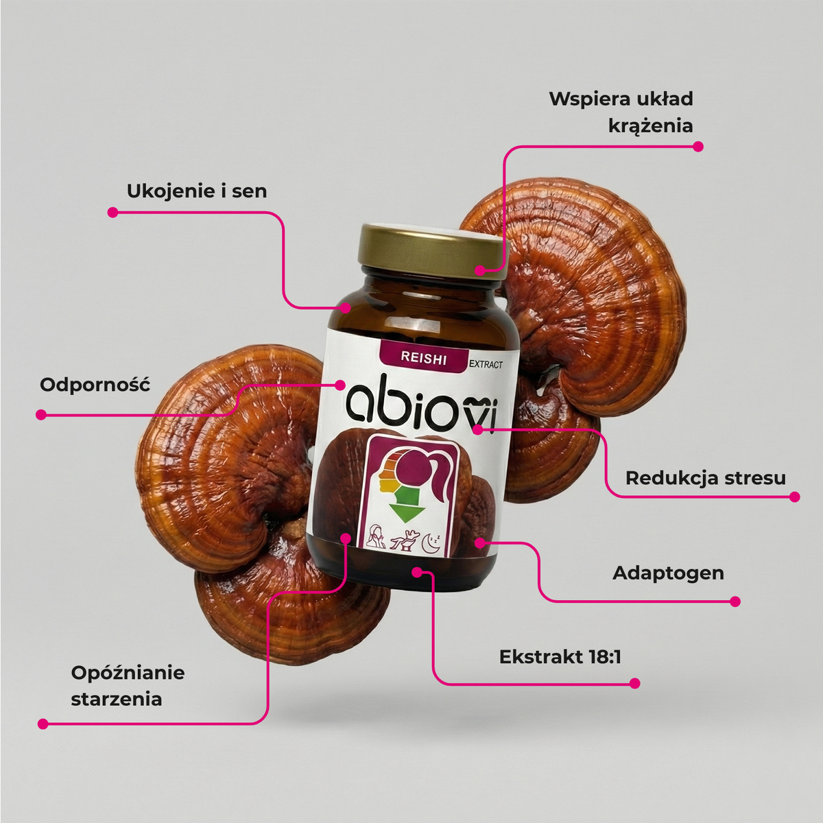 Infografika suplementu Abiovi REISHI EXTRACT z owocnikami lakownicy żółtawej i opisem właściwości, m.in. ukojenie i sen.